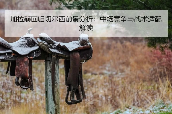 加拉赫回归切尔西前景分析：中场竞争与战术适配解读